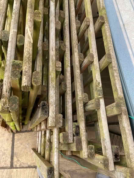 Photo of free Trellis Panels (Broken Cross) #4