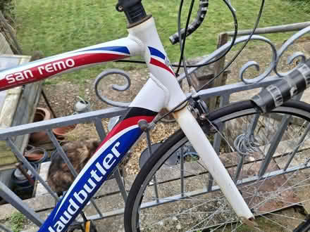 Photo of free Bike (Hastings TN34) #3