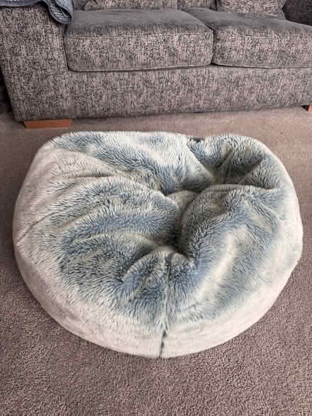 Photo of free Bean bag (Cheadle Hulme SK8) #1