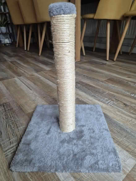 Photo of free Kitten sized scratching post (CB4) #1