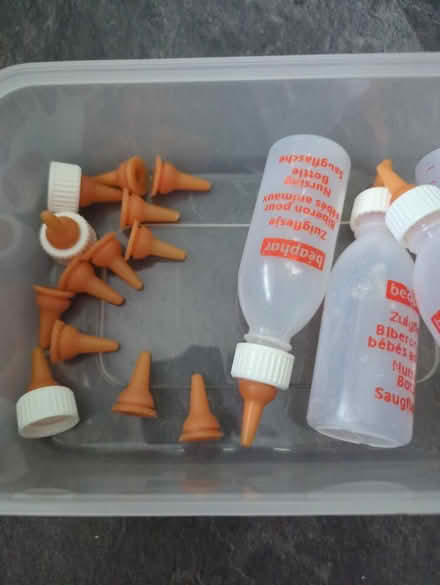 Photo of free Orphan kitten feeding bottles (Chessington KT9) #3