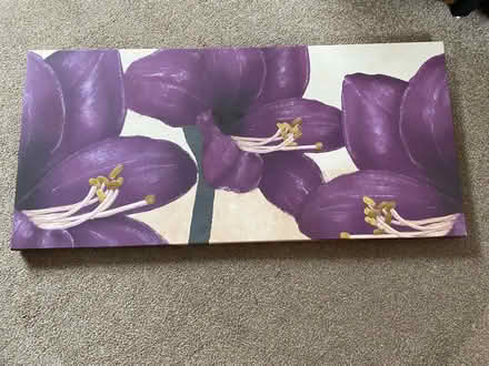 Photo of free Purple flowers canvas (Ashton OL6) #1