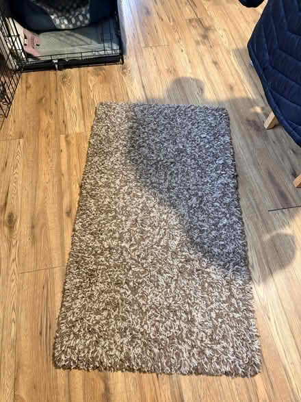 Photo of free Rug (Maidenhead SL6) #1
