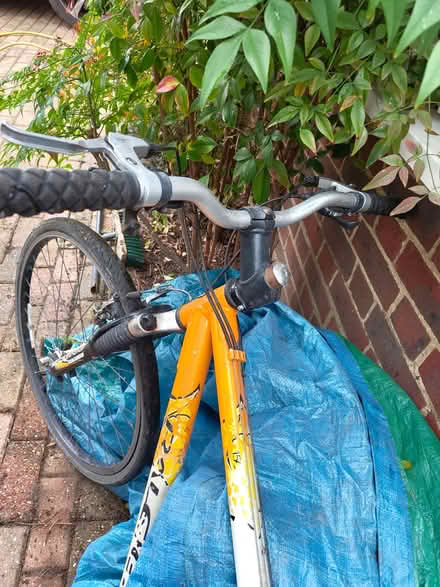 Photo of free Bicycle (Thames Ditton) #2