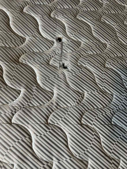 Photo of free Double divan with drawers (Stanwell Village TW19) #3