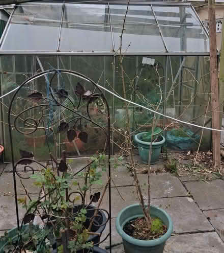 Photo of free Greenhouse (North Cardiff CF15) #2