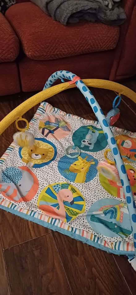 Photo of free Baby play mat (Woodingdean BN2) #1