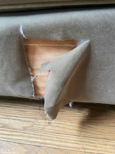 Photo of free Couch (Fulton Place (east Edmonton)) #2