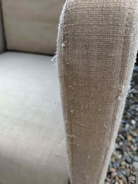 Photo of free Two IKEA chairs (Mold CH7) #1
