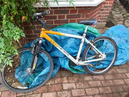 Photo of free Bicycle (Thames Ditton) #1