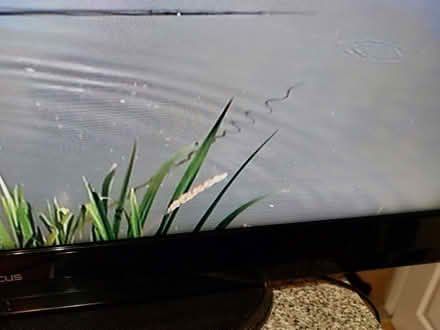 Photo of free 40in non smart tv (DA11) #1