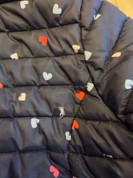 Photo of free Girls padded jacket 9-10 years (Culham OX14) #4