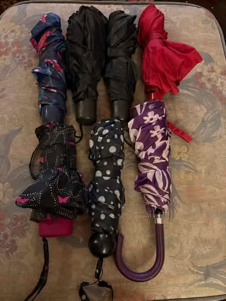 Photo of free Folding Umbrellas (Liverpool L13) #1
