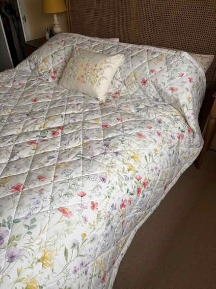 Photo of free Dorma bed spread- new (Wokingham RG40) #2