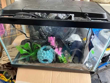 Photo of free Small aquarium (Oradell) #1