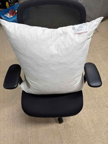 Photo of free 65cm feather cushion pad (Elsenham CM22) #1