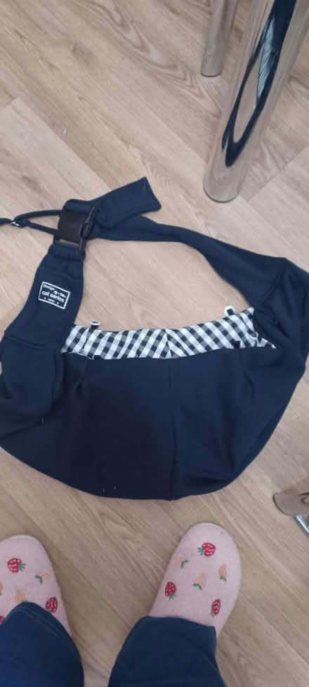 Photo of free Puppy or cat carrying papoose (Billericay CM11) #1