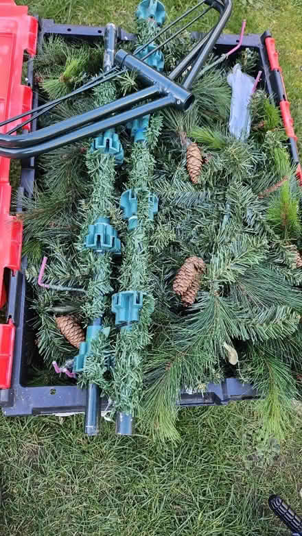 Photo of free Chtistmas tree (Corstophine EH4) #1
