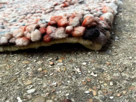 Photo of free Thick rug 3ft x 5ft (900mm x 1500mm) (Seaford BN25) #3