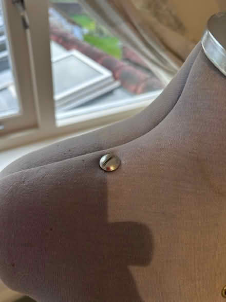 Photo of free Dressmaker’s dummy (Sheet) #2