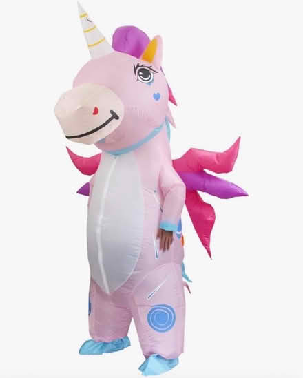 Photo of Fancy dress (Windermere) #1