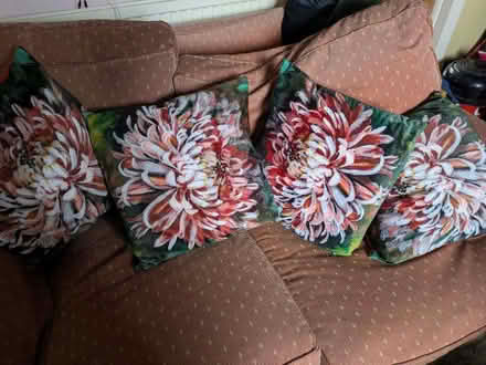 Photo of free 4 chrysanthemum cushions (Harrogate HG1) #1