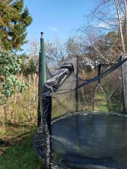 Photo of free The eternal trampoline (Colinton EH13) #2