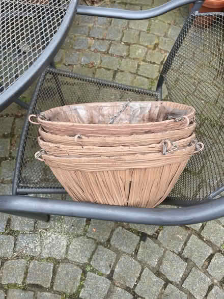 Photo of free Hanging baskets (Frodsham WA6) #3