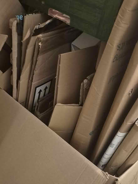 Photo of free Different sizes of cardboard boxes for moving (Southam CV47) #1