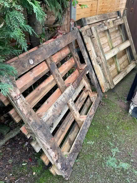 Photo of free Three wooden pallets (TN13) #1