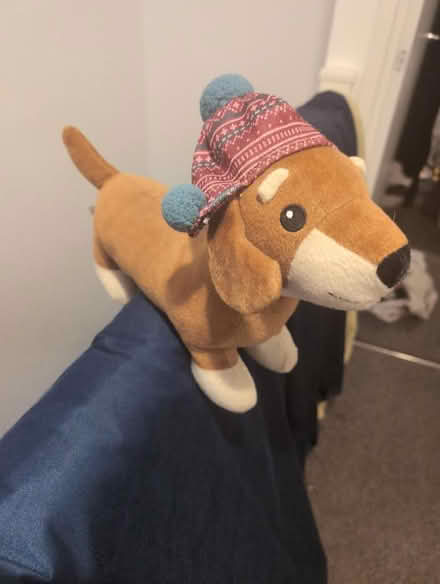 Photo of free Door stop (Goffs Oak EN7) #1