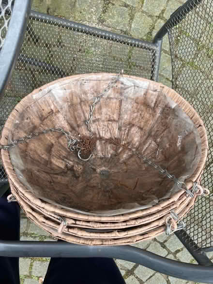 Photo of free Hanging baskets (Frodsham WA6) #2