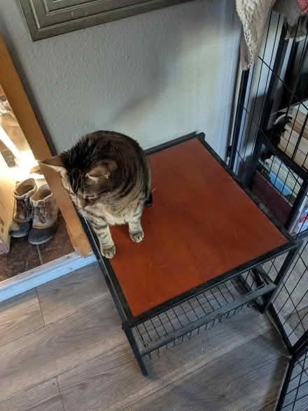 Photo of free Small square table with storage (La Pine) #2