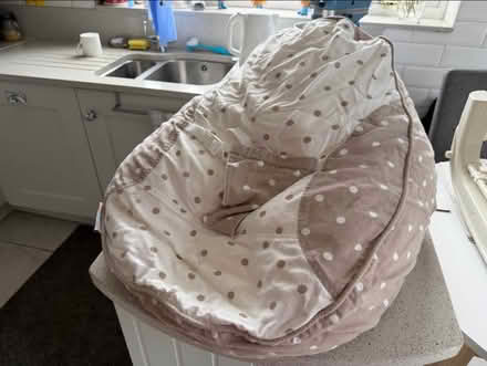 Photo of free Bambino baby seat (Lower Penwortham PR1) #1