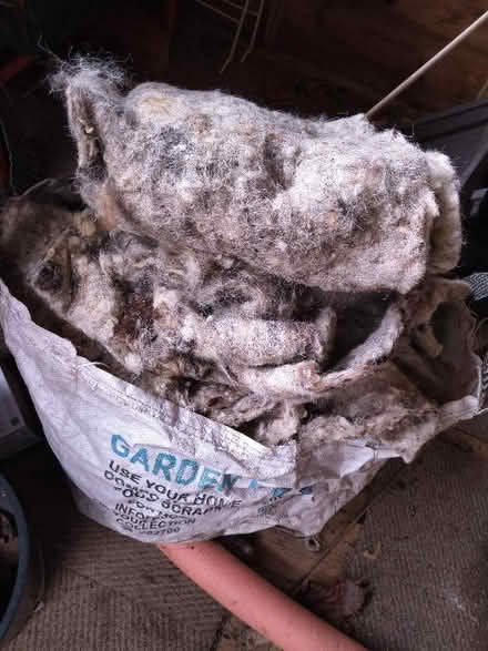 Photo of free Wool layers (from packaging) (CO12) #1