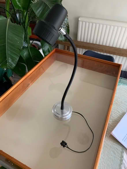 Photo of free 12v reading lamp (Curdridge SO32) #1