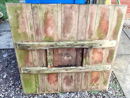 Photo of free Tongued and grooved teak (Forfar DD8) #2