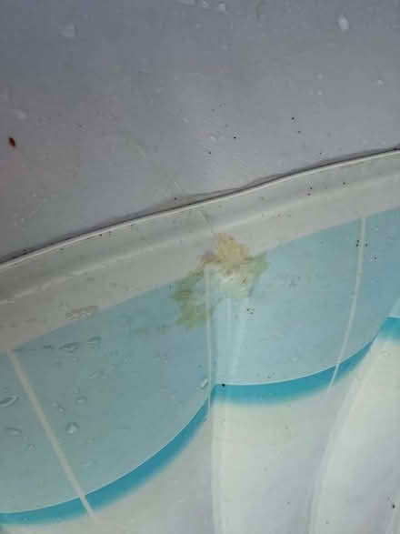 Photo of free Lay Z Spa Hot Tub (Horkesley Heath CO4) #3