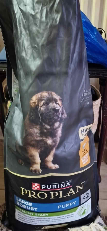 Photo of free Puppy food (East london) #1