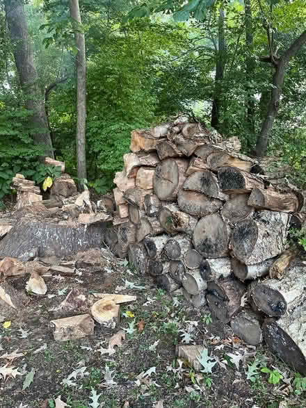 Photo of free Firewood (Fort Eustice area) #3