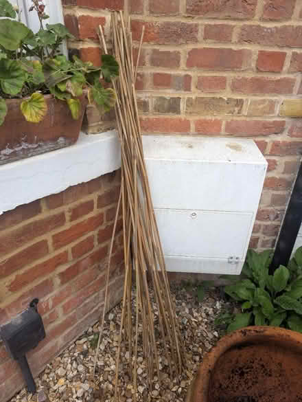 Photo of free Bamboo (OX4 Boulter Street) #1