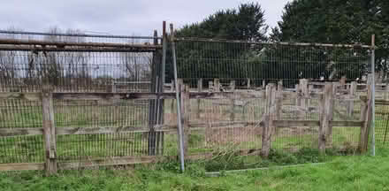 Photo of free 6 used heras panels (Street on the Fosse BA4) #2