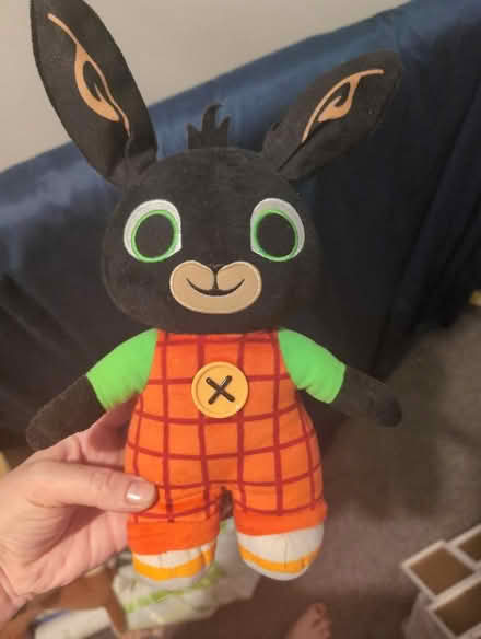 Photo of free Talking bing (Goffs Oak EN7) #1