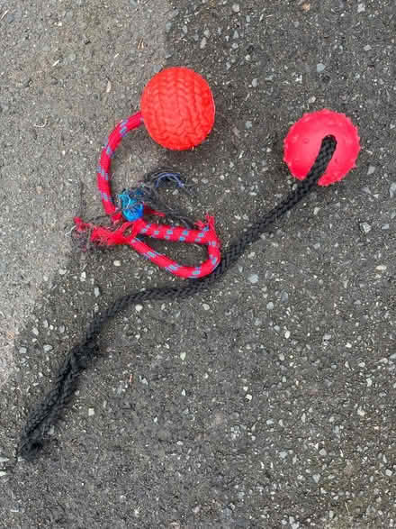 Photo of free Two dog balls (Barnard's Green WR14) #1