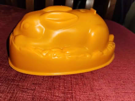 Photo of free Jelly mould (Putnoe MK41) #1