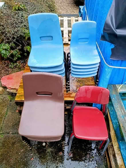 Photo of free 18 Primary School chairs (Ipswich, IP4) #1
