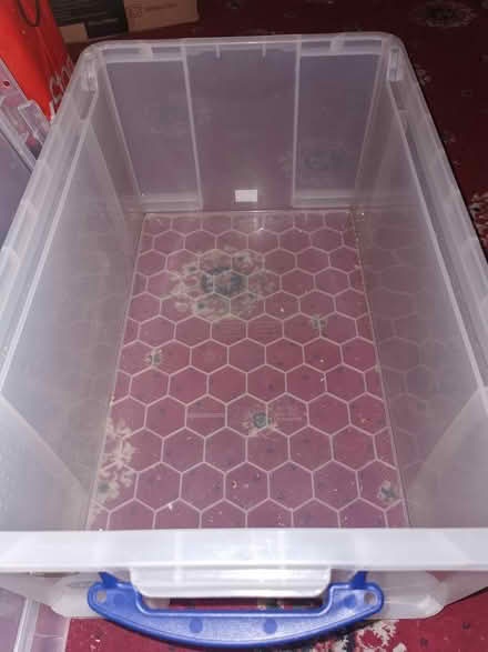 Photo of free Storage Box (Parkstone BH14) #2