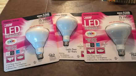 Photo of free 5 Floodlights (Bellevue Bridle Trails area) #1