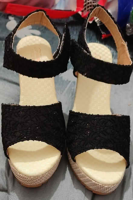 Photo of free Wedges (Willington Quay NE28) #4