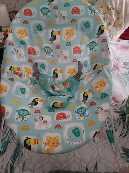 Photo of free Baby bouncer (Parkwood Rainham ME8) #1